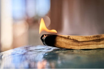 Palo Santo – Der Duft, der reinigt, beruhigt und plötzlich Lust auf Yoga macht (auch wenn du den Lotussitz nicht kennst)