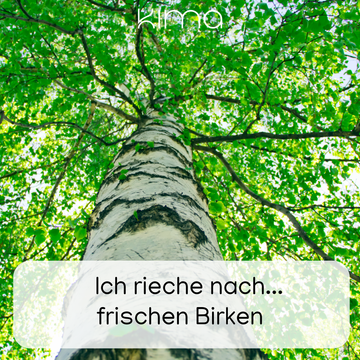 Birke Duftkerze Spotify-Code mit Soundtrack