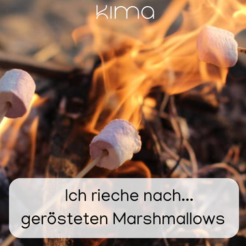 Happy Camper - Am Lagerfeuer gerösteter Marshmellow Duftkerze Spotify-Code mit Soundtrack
